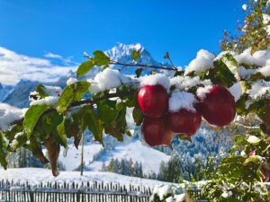 20 cm Neuschnee in den Dolomiten am 11. Oktober - und am 12. dann Traumwetter. Foto: Hans-Martin Goede
